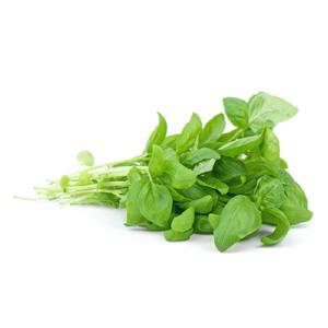 Basil - Decampo