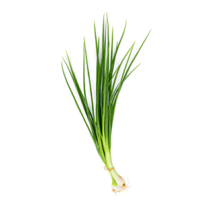 Green Onion Decampo