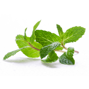 Mint Decampo