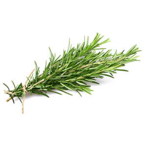 Rosemary Decampo