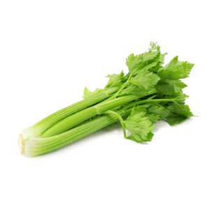 Celery Decampo